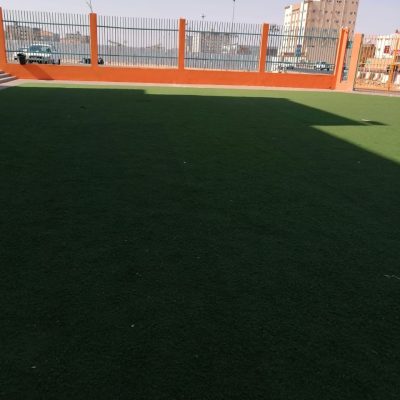 بنين (4)