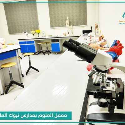 معامل (11)