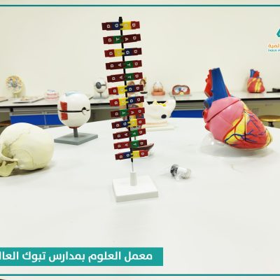 معامل (12)